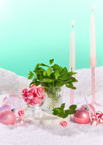 Merry Mint Serum-Infused Hand Wash