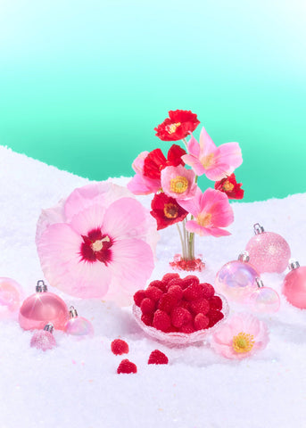 Mini Pink Hibiscus Shea Sugar Scrub